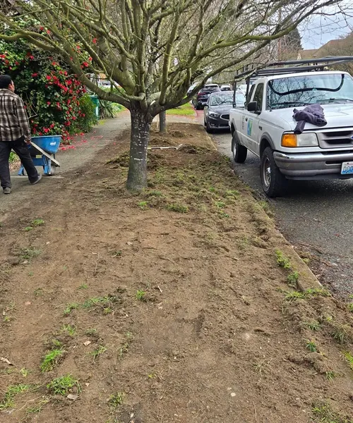 New Lawn Installation in Everett 